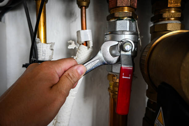Best Local Plumber Services  in Scotia, NY